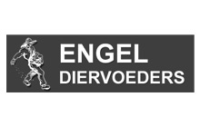 Engel